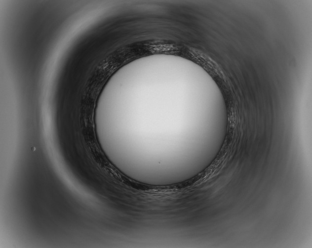 X0000098000763200803241041