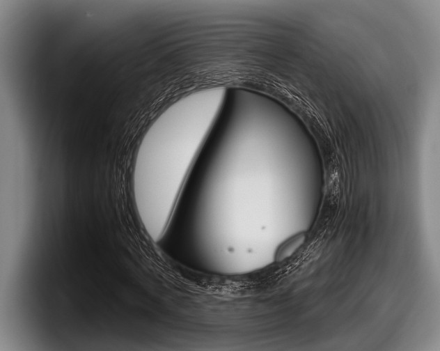 X0000098000772200803241041