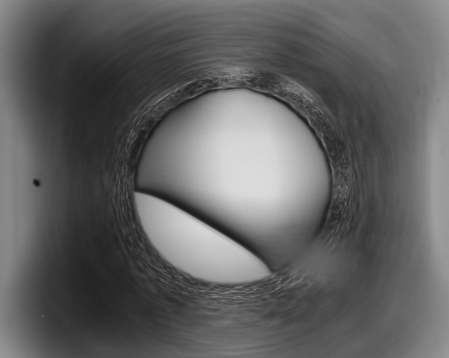 X0000098000773200803241041