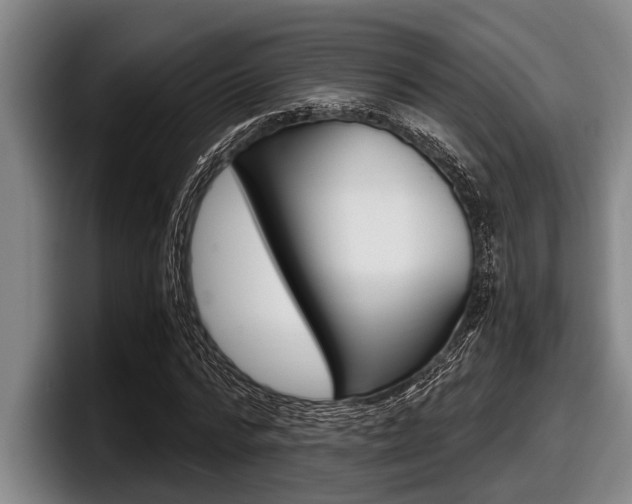 X0000098000776200803241041