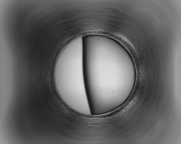 X0000098000777200803241041