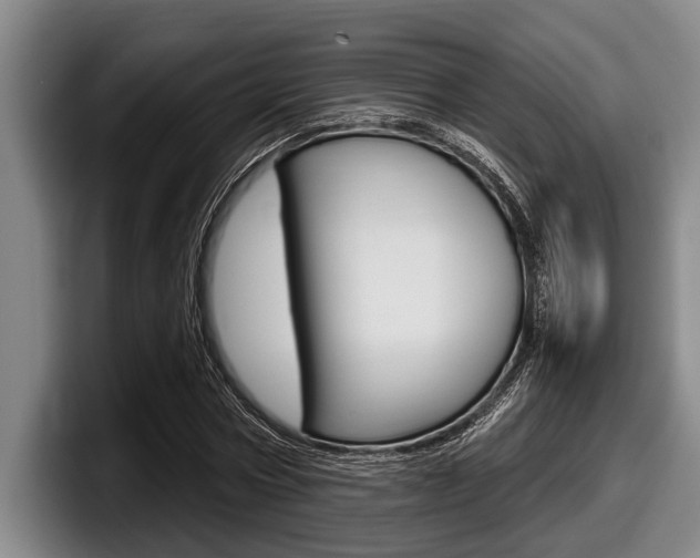 X0000098000778200803241041