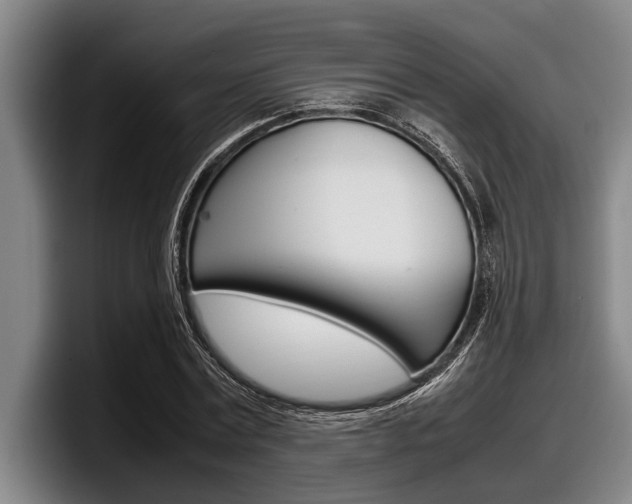 X0000098000779200803241041