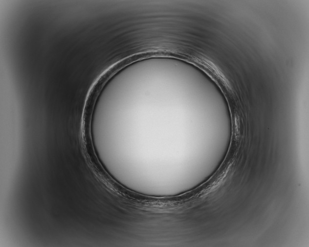 X0000098000780200803241041