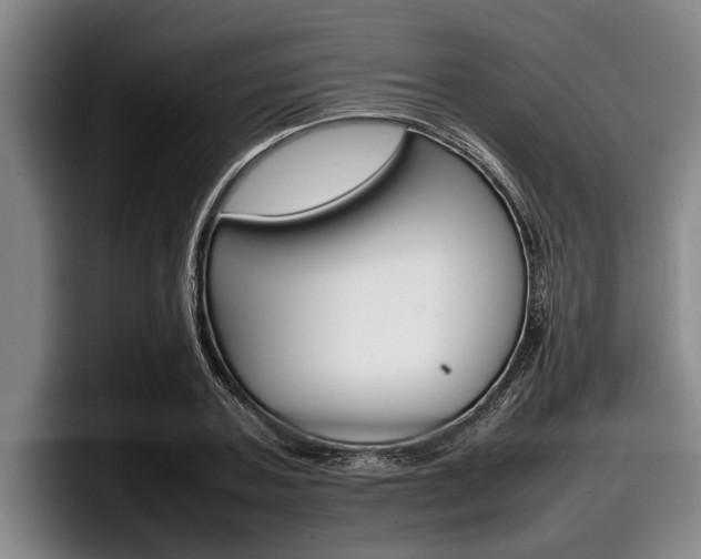 X0000098000787200803241041