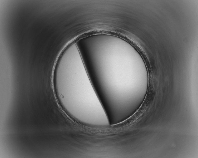 X0000098000791200803241040
