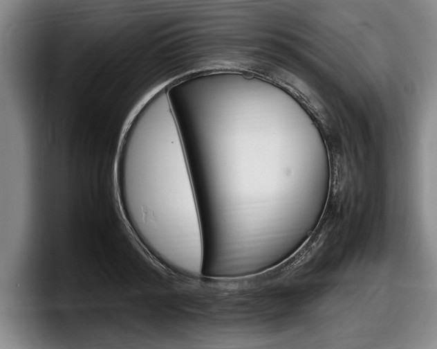X0000098000796200803241040