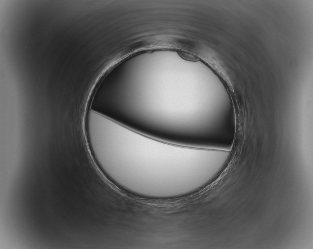 X0000098000805200803241040