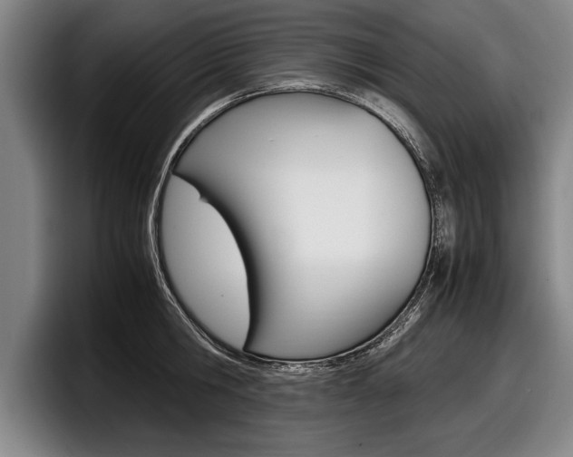 X0000098000806200803241040