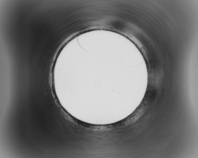 X0000098000807200803241040