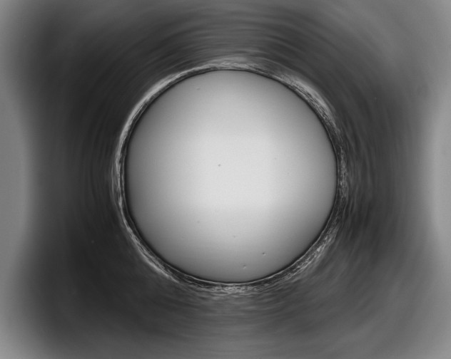 X0000098000808200803241040