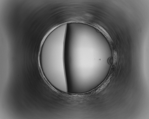 X0000098000812200803241040