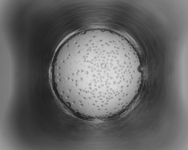 X0000098000814200803241040