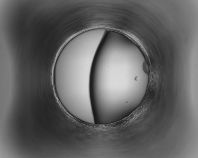 X0000098000815200803241040