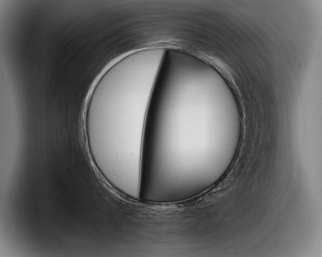 X0000098000816200803241040