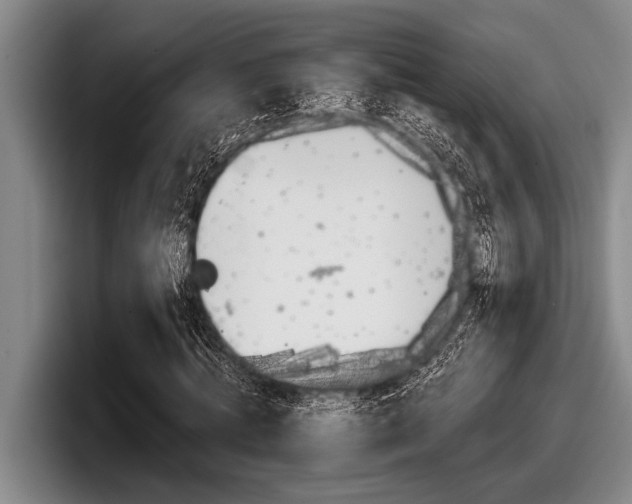 X0000098000820200803241040