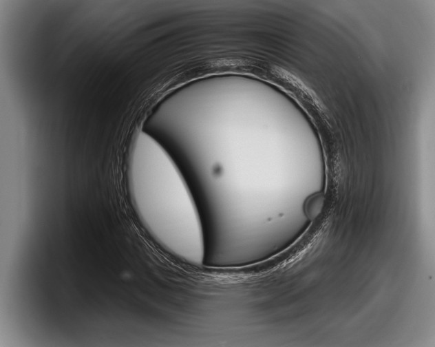 X0000098000825200803241040