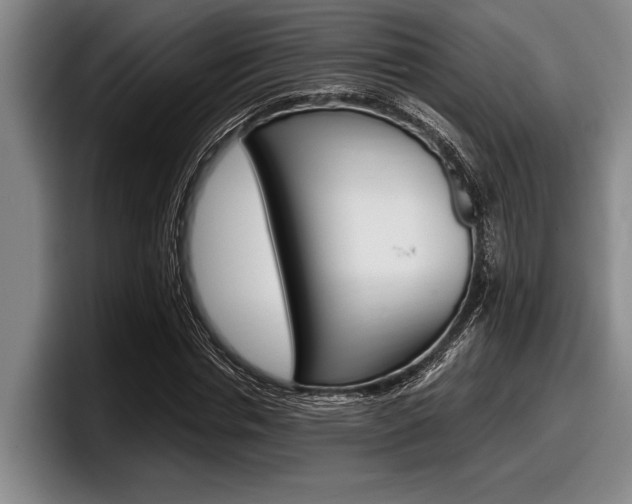 X0000098000826200803241040