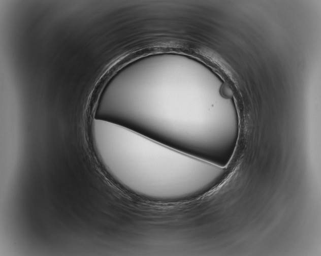 X0000098000829200803241040