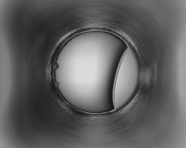 X0000098000830200803241040