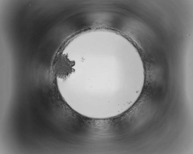 X0000098000832200803241040