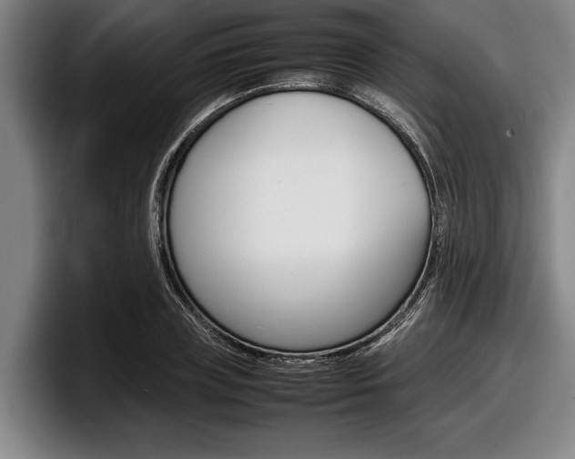 X0000098000835200803241040