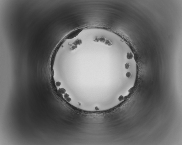 X0000098000836200803241040