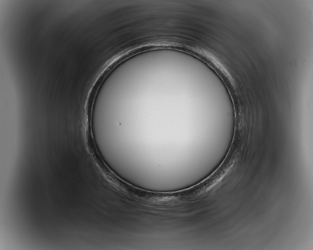 X0000098000837200803241040