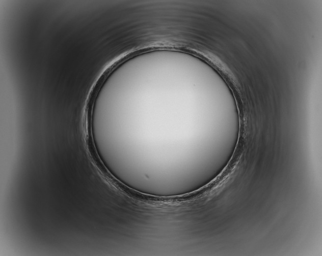 X0000098000838200803241040