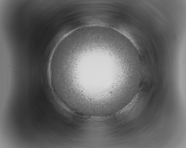 X0000098000840200803241040