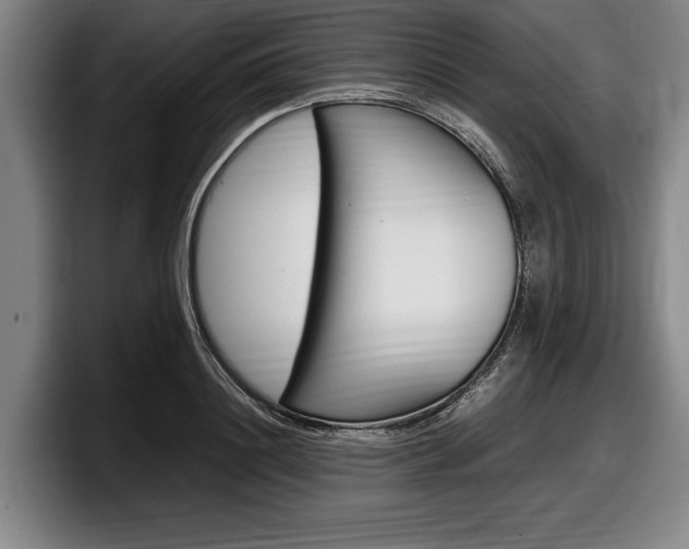 X0000098000844200803241040