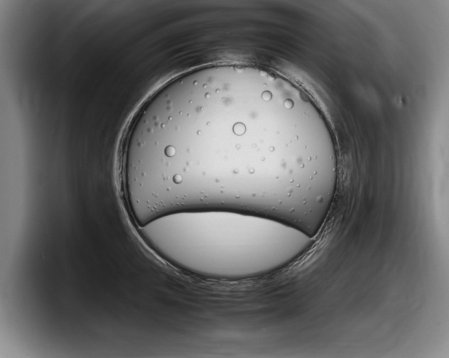 X0000098000851200803241040