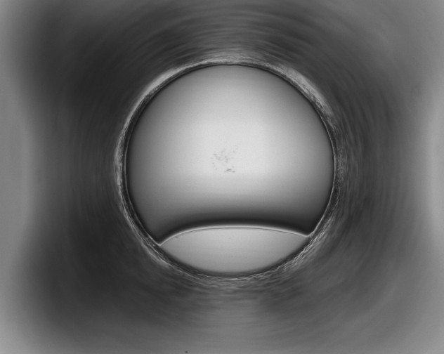 X0000098000854200803241040