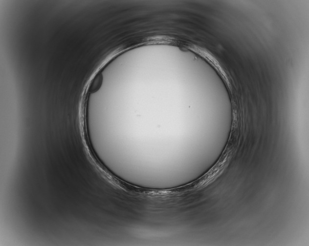 X0000098000859200803241040