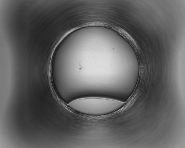 X0000098000860200803241040