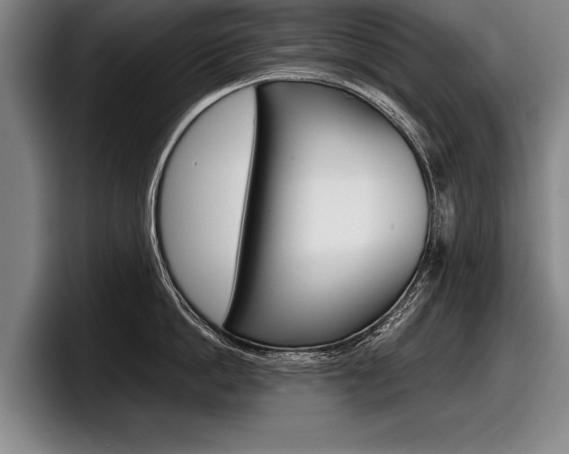 X0000098000862200803241040