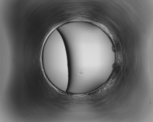 X0000098000863200803241040