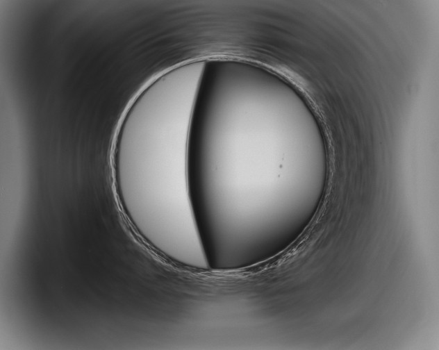 X0000098000864200803241040