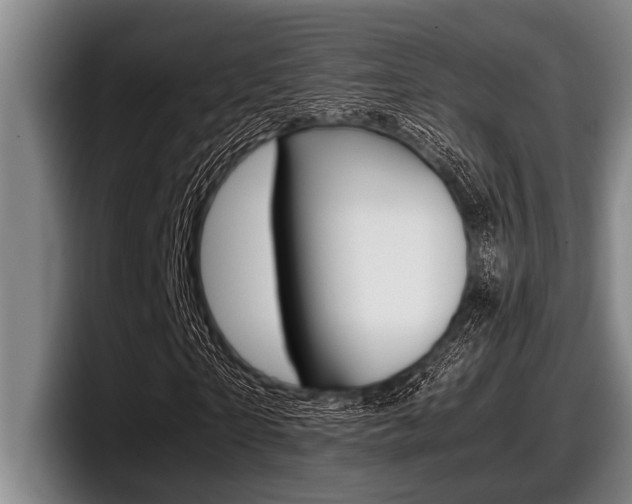 X0000098000865200803241040