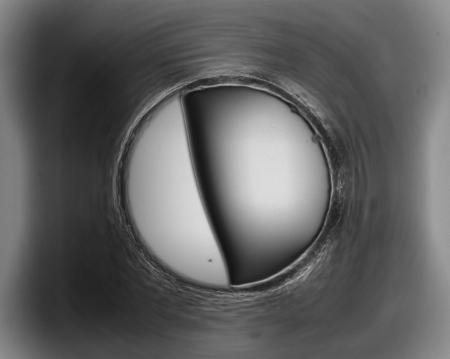X0000098000877200803241039