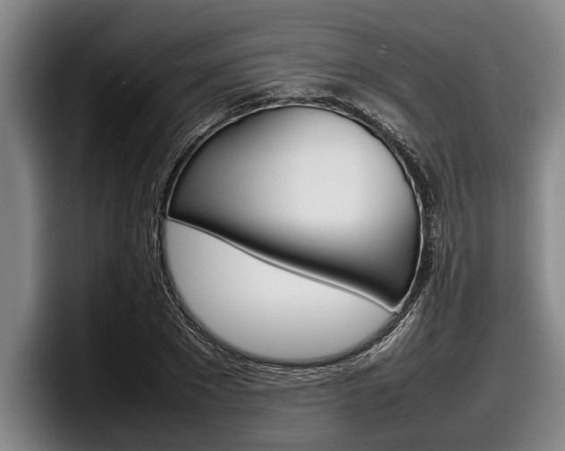 X0000098000881200803241039