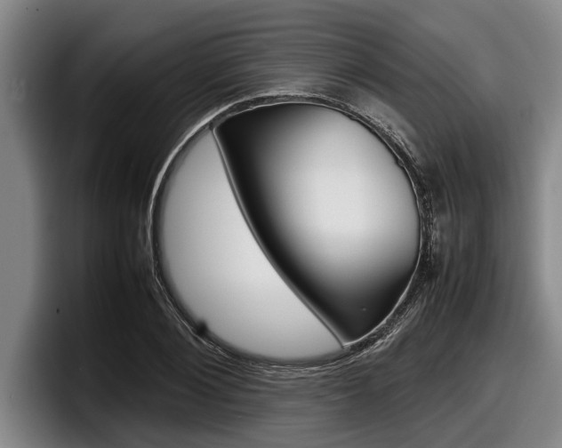 X0000098000884200803241039
