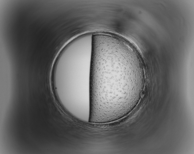 X0000098000887200803241039