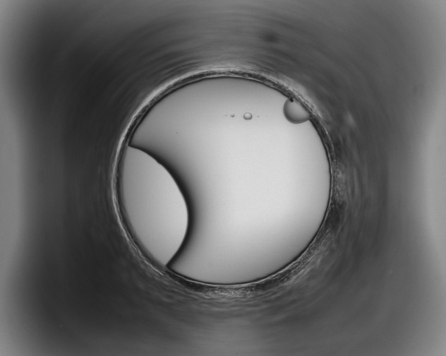 X0000098000895200803241039