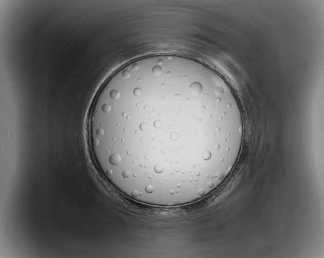 X0000098000899200803241039