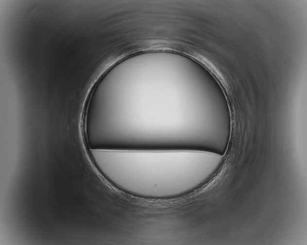 X0000098000901200803241039