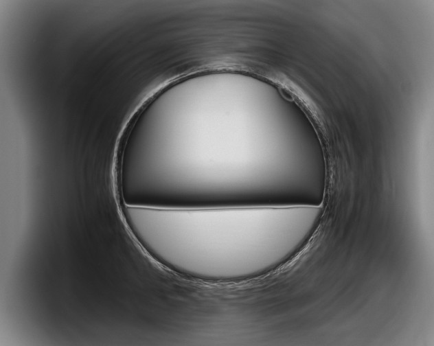 X0000098000902200803241039