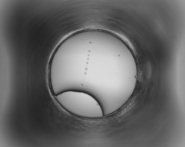 X0000098000903200803241039