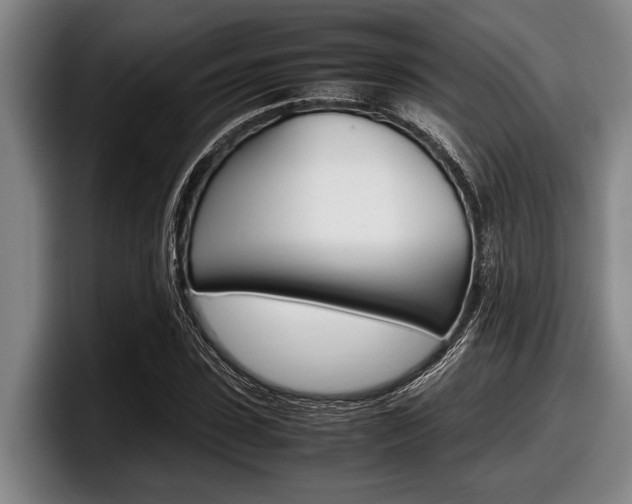 X0000098000923200803241038