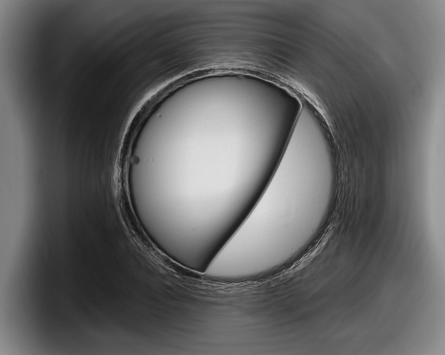 X0000098000928200803241038